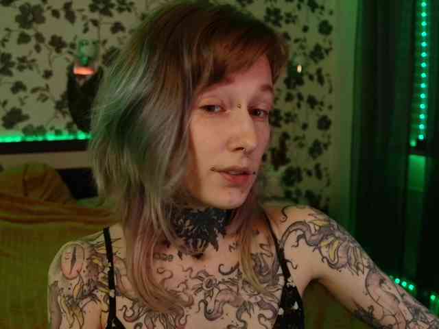 LittleSpaceMouse- webcam