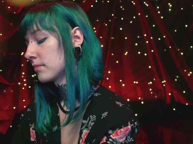 LittleSpaceMouse- webcam