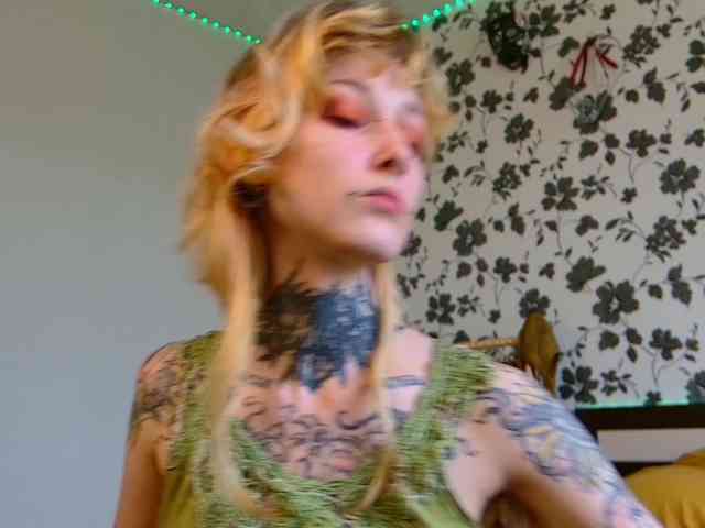 LittleSpaceMouse- webcam