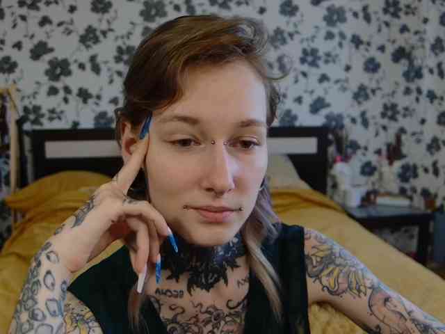 LittleSpaceMouse- webcam