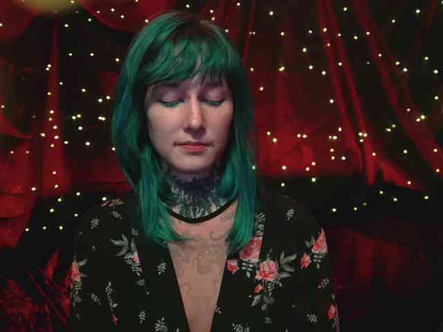 LittleSpaceMouse- webcam