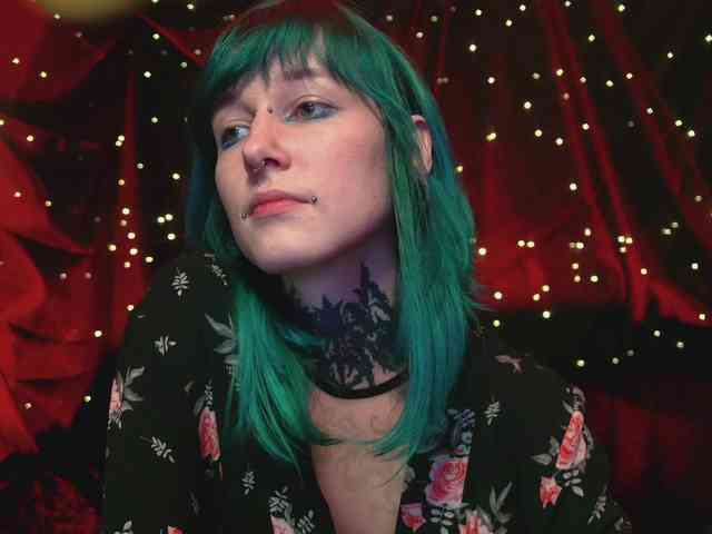 LittleSpaceMouse- webcam