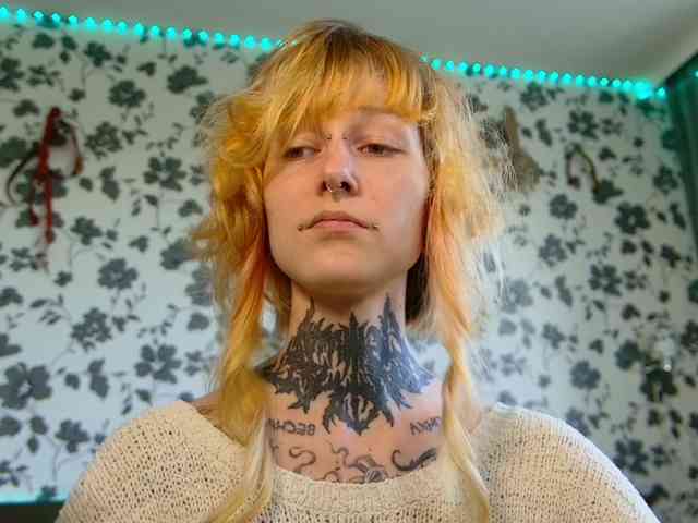 LittleSpaceMouse- webcam