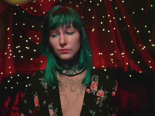 LittleSpaceMouse- webcam