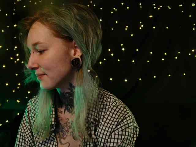 LittleSpaceMouse- webcam