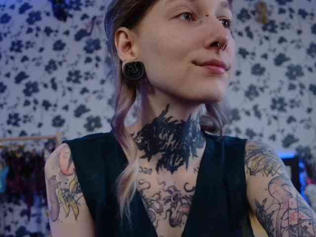 LittleSpaceMouse- webcam