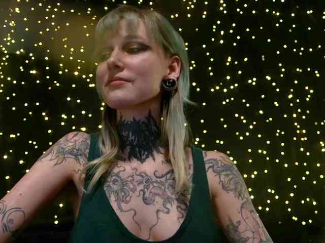 LittleSpaceMouse- webcam