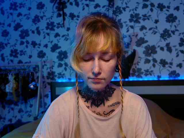 LittleSpaceMouse- webcam