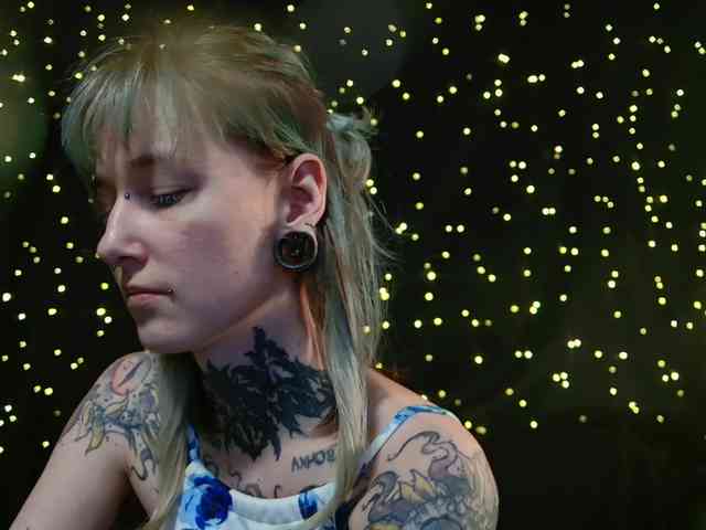 LittleSpaceMouse- webcam