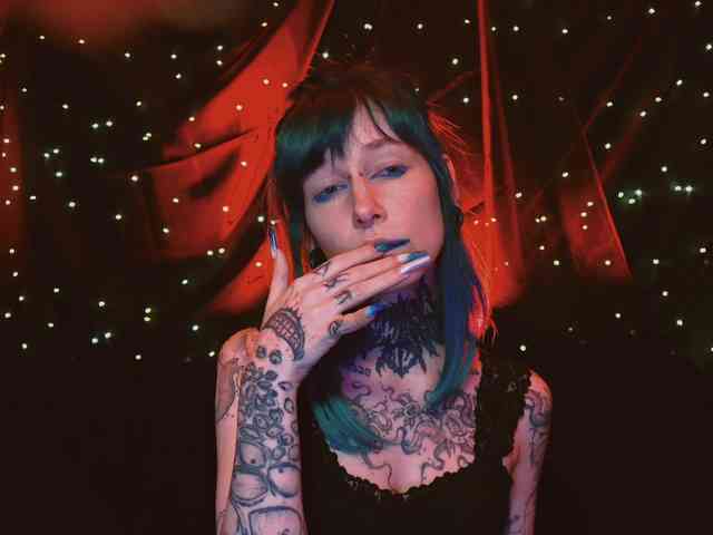 LittleSpaceMouse- webcam