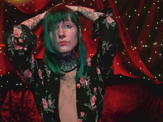 LittleSpaceMouse- webcam