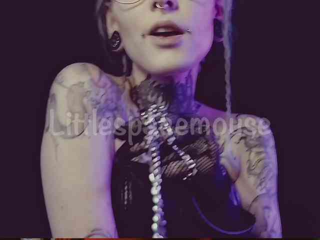 LittleSpaceMouse- webcam