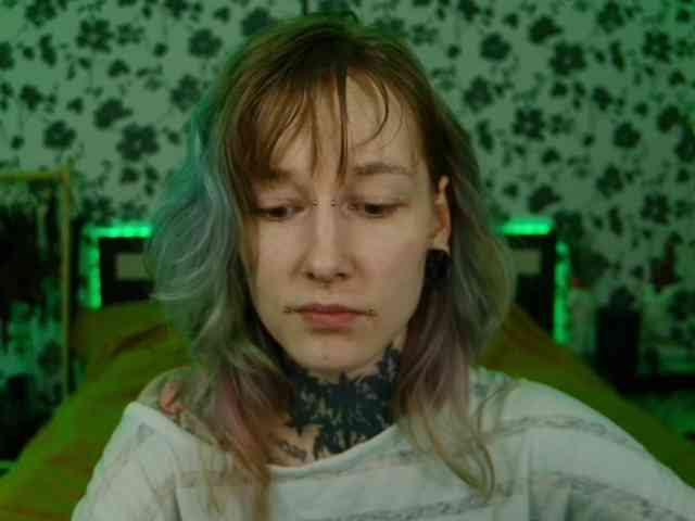 LittleSpaceMouse- webcam