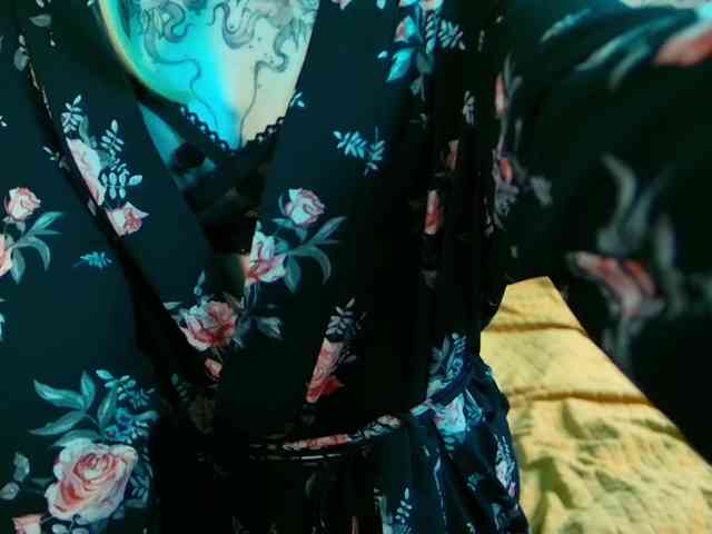 LittleSpaceMouse- webcam