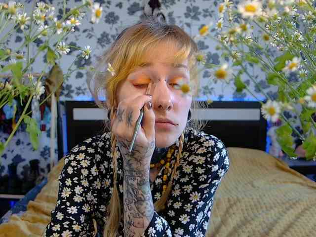 LittleSpaceMouse- webcam