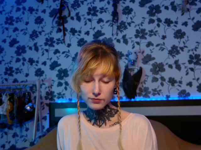 LittleSpaceMouse- webcam