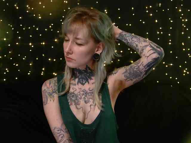 LittleSpaceMouse- webcam