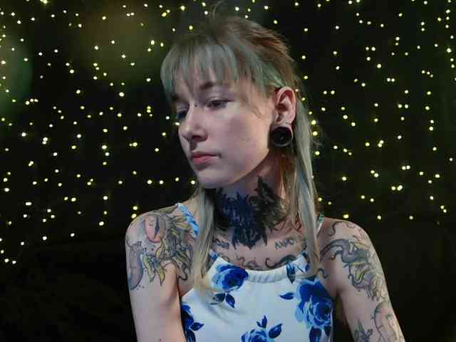 LittleSpaceMouse- webcam