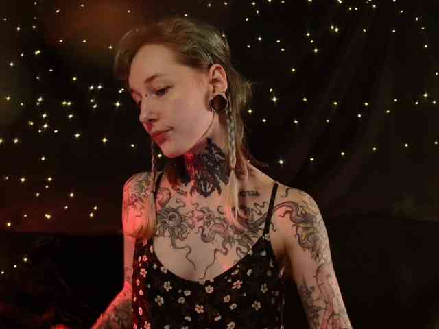 LittleSpaceMouse- webcam