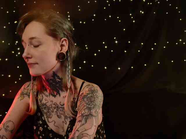 LittleSpaceMouse- webcam