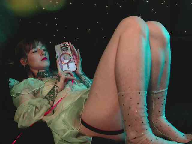 LittleSpaceMouse- webcam