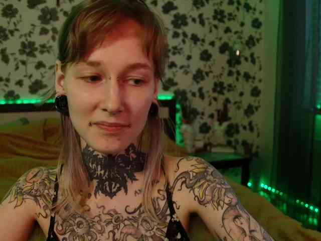 LittleSpaceMouse- webcam