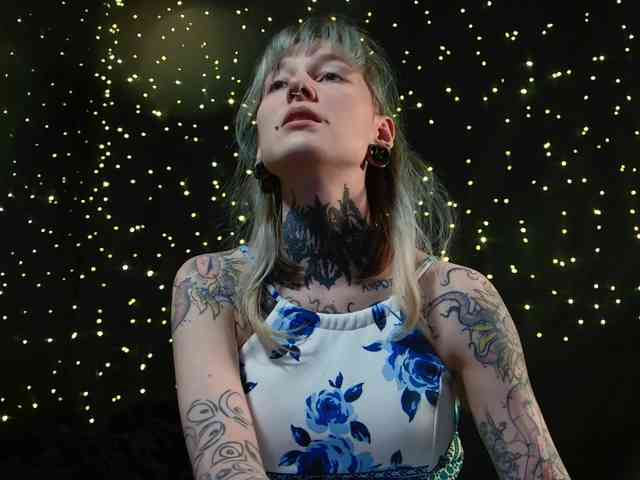 LittleSpaceMouse- webcam