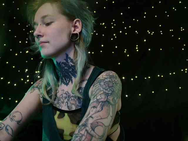 LittleSpaceMouse- webcam