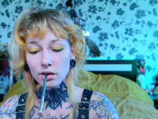LittleSpaceMouse- webcam