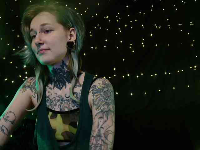 LittleSpaceMouse- webcam