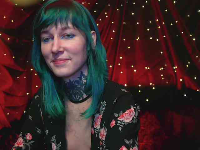 LittleSpaceMouse- webcam