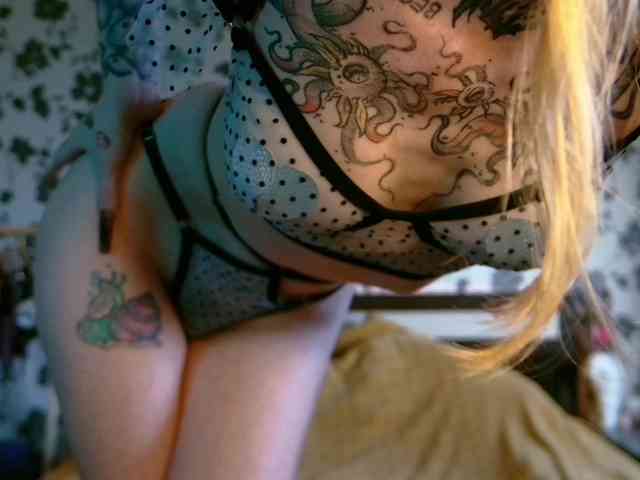 LittleSpaceMouse- webcam