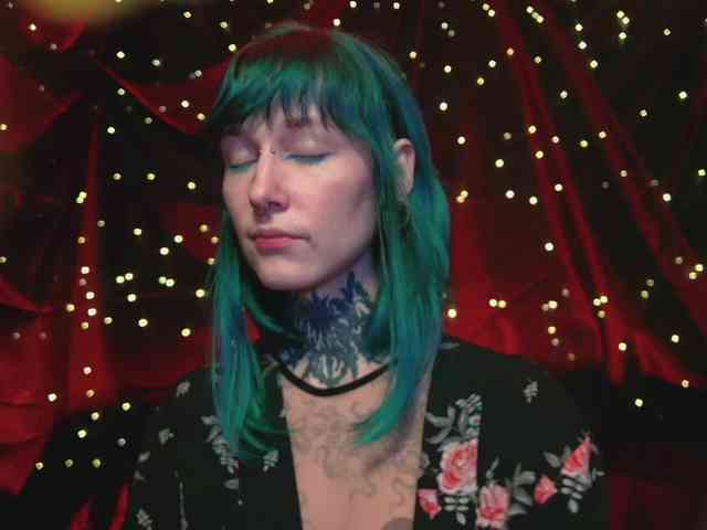 LittleSpaceMouse- webcam