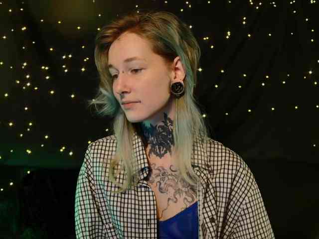 LittleSpaceMouse- webcam