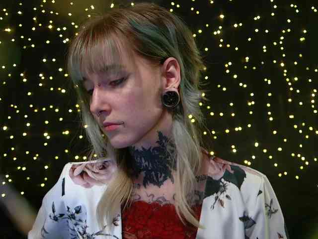 LittleSpaceMouse- webcam