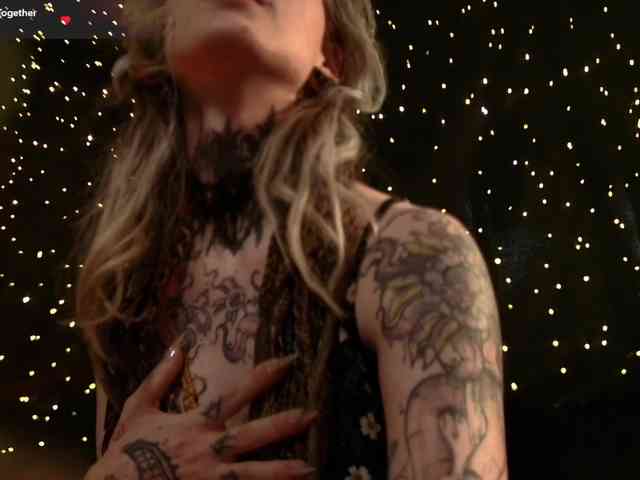 LittleSpaceMouse- webcam