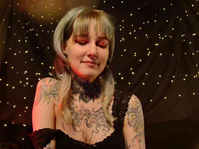 LittleSpaceMouse- webcam