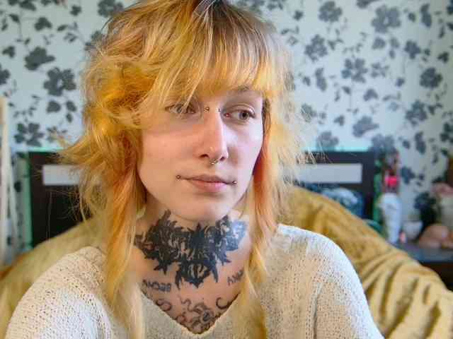 LittleSpaceMouse- webcam