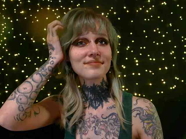 LittleSpaceMouse- webcam