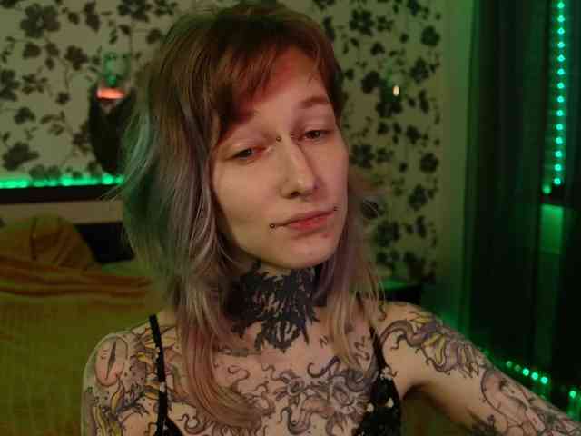 LittleSpaceMouse- webcam