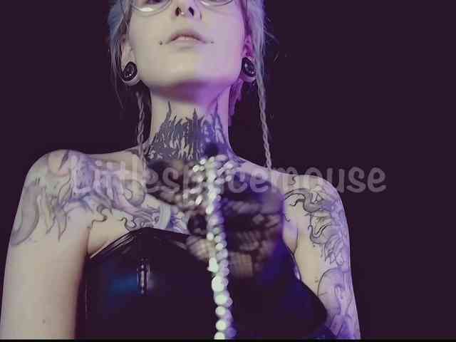 LittleSpaceMouse- webcam