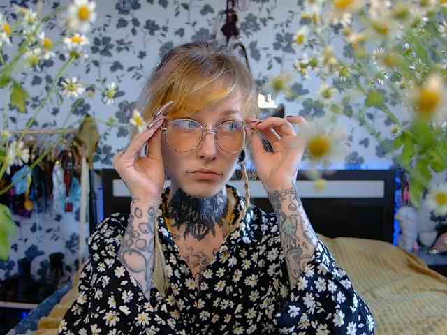 LittleSpaceMouse- webcam