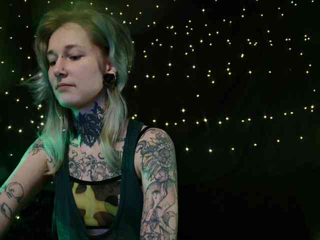 LittleSpaceMouse- webcam