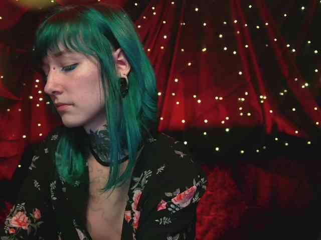 LittleSpaceMouse- webcam