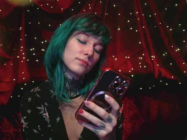 LittleSpaceMouse- webcam