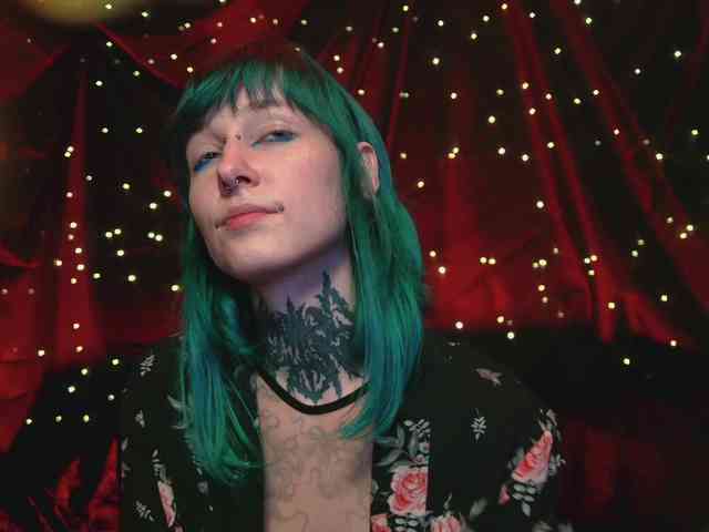 LittleSpaceMouse- webcam