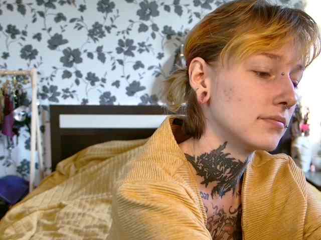 LittleSpaceMouse- webcam