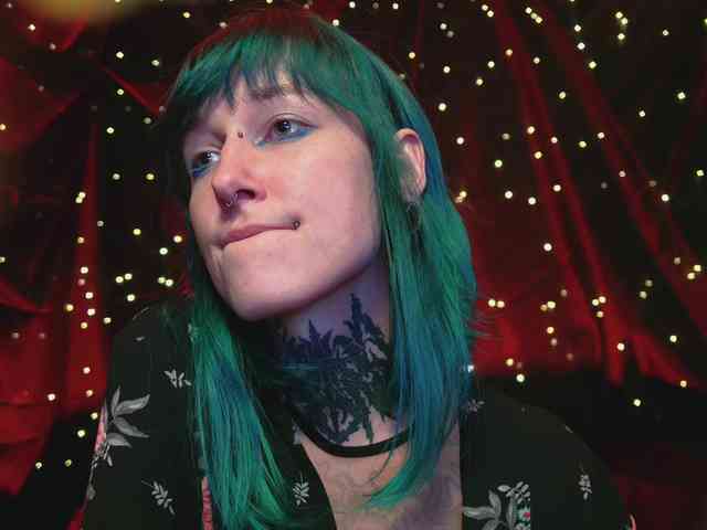 LittleSpaceMouse- webcam