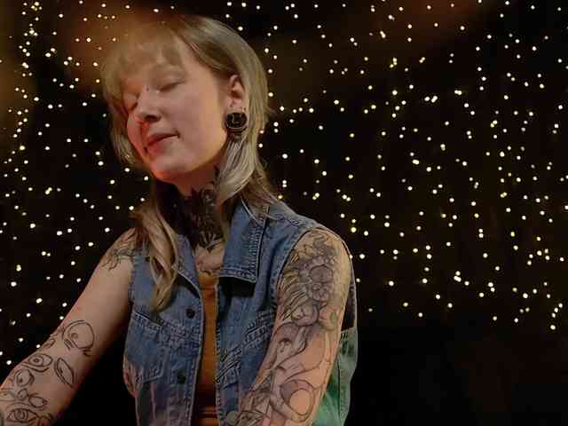 LittleSpaceMouse- webcam