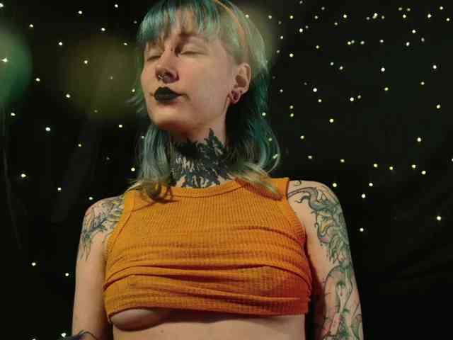 LittleSpaceMouse- webcam